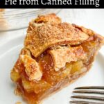 Piece of canned apple pie on a white plate with an apple pie in the background.