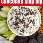 white bowl of chocolate chip dip on a tray of dippers