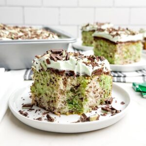 piece of mint chocolate cake on a white plate