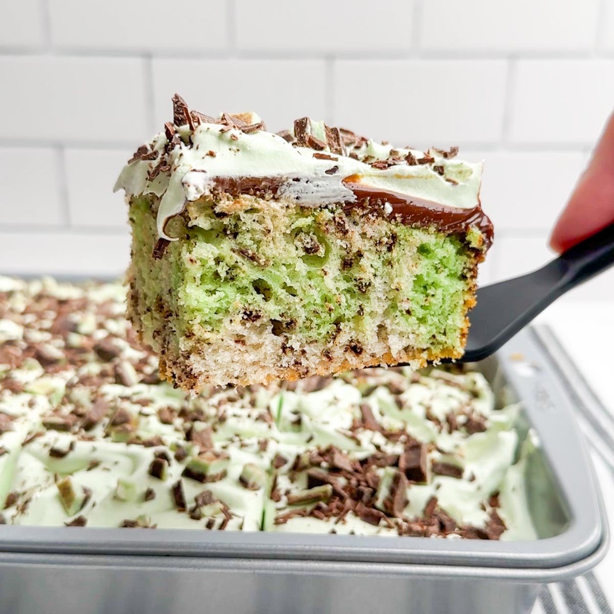 spatula holding a piece of mint chocolate cake